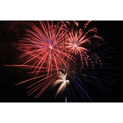 Happy 4th of July!