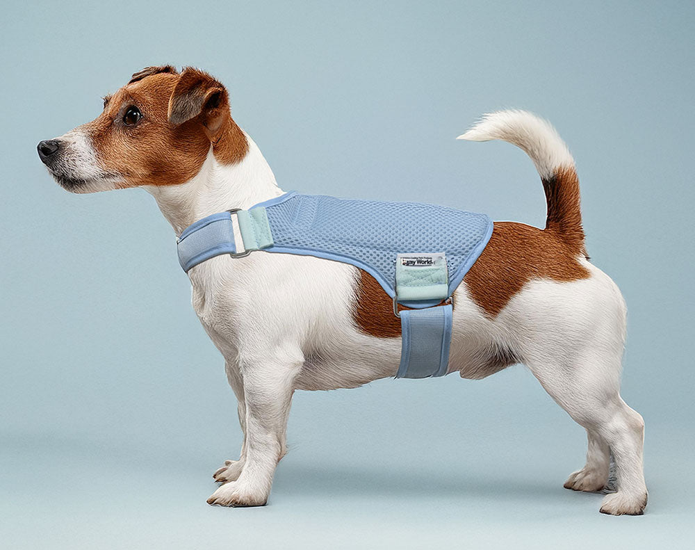 Horay Cooling Dog Vest