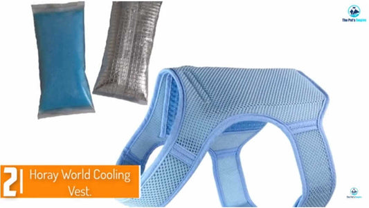 News: Top 5 Best Dog Cooling Vests and Bandanas for 2024