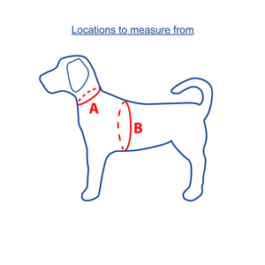 Dog measurement diagram