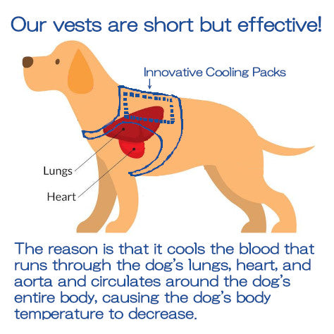 Horay Cooling Dog Vest Available in 3 Colors!  - Soft, reusable. Heat cramps / heat exhaustion / heatstroke prevention for dogs.