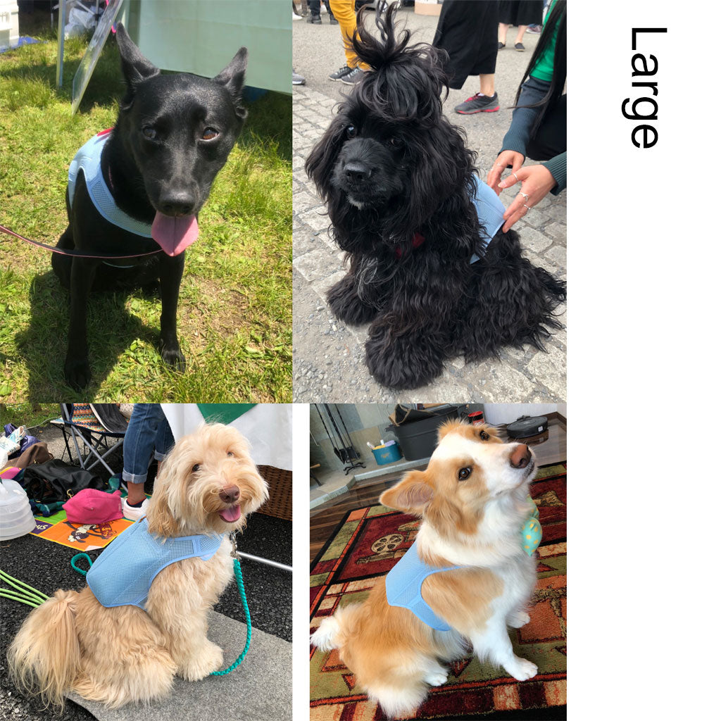 Horay Cooling Dog Vest Available in 3 Colors!  - Soft, reusable. Heat cramps / heat exhaustion / heatstroke prevention for dogs.