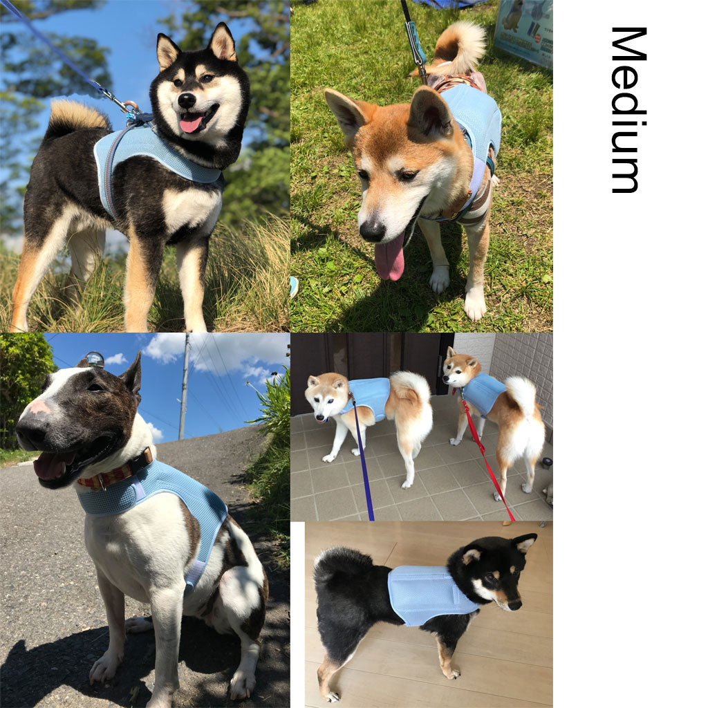 Horay Cooling Dog Vest Available in 3 Colors!  - Soft, reusable. Heat cramps / heat exhaustion / heatstroke prevention for dogs.