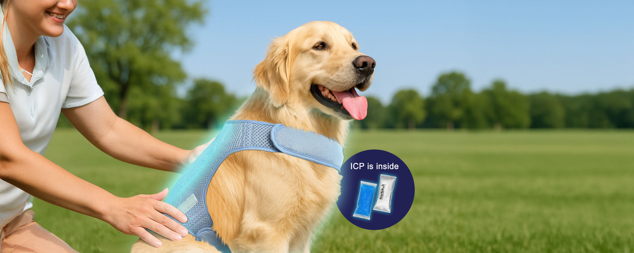 Horay Cooling Dog Vest