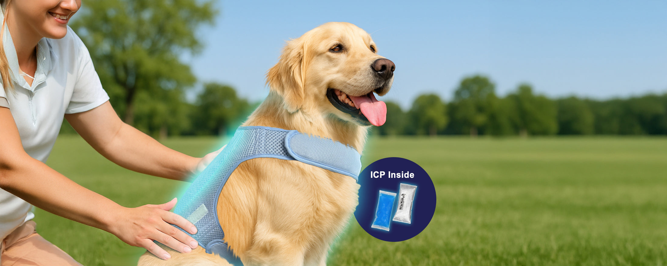 Horay Cooling Dog Vest