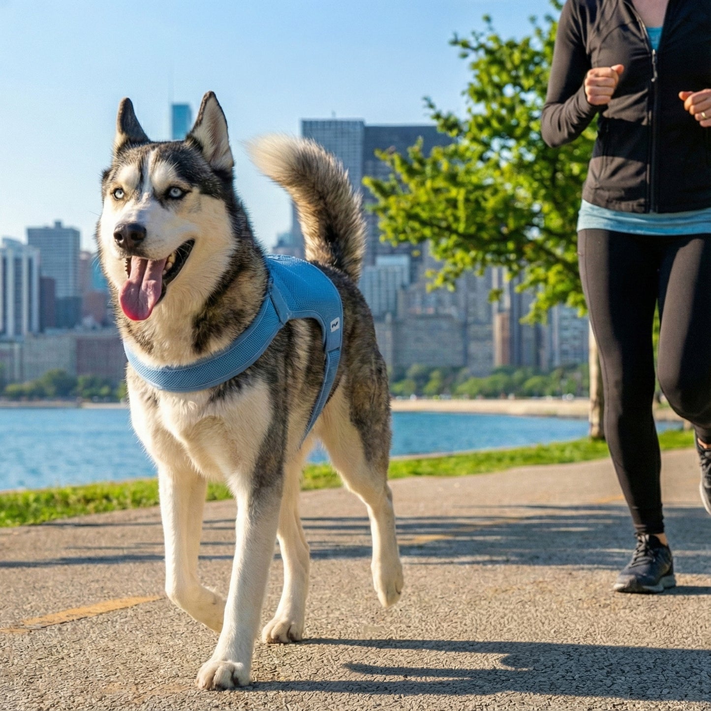Horay Cooling Dog Vest