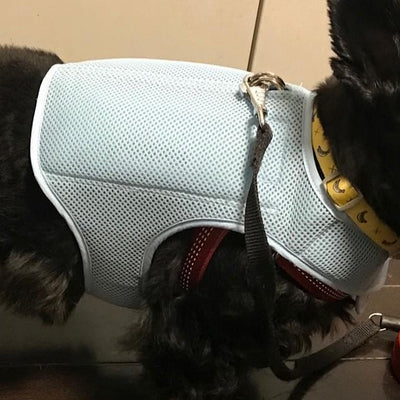 Horay Cooling Dog Vest Available in 3 Colors!  - Soft, reusable. Heat cramps / heat exhaustion / heatstroke prevention for dogs.