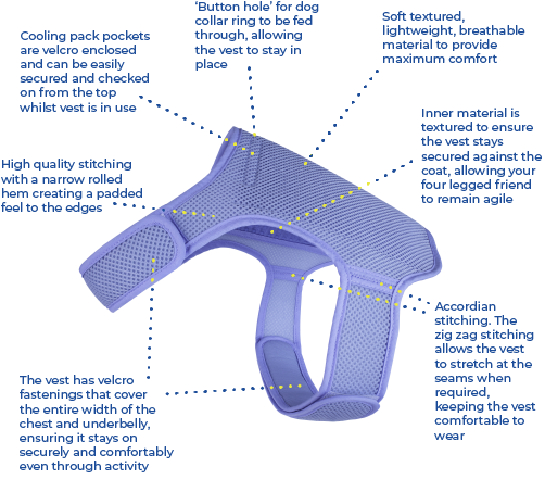 Dog cooling vest features