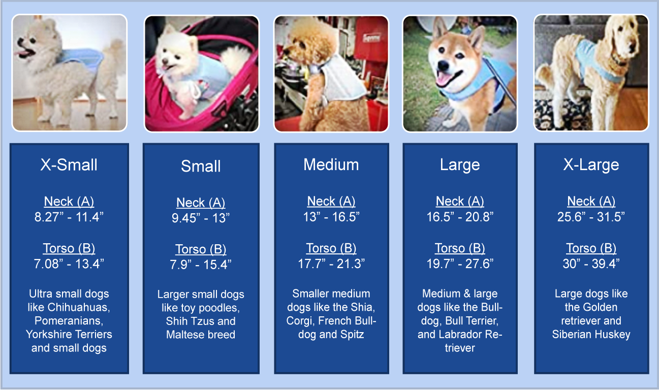 Size guide table for dogs